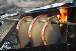 Medendorf 2006